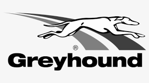 Grayhound